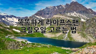 똑똑하게 라이프스팬 크릴오일 고르는 법 🧐